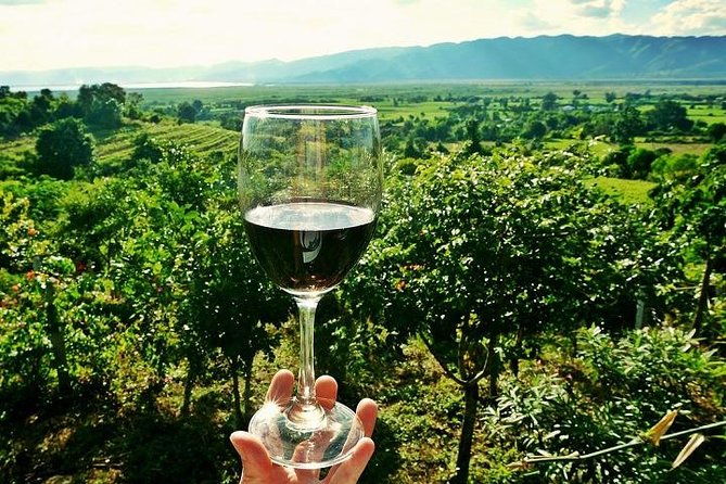 half-day-chianti-wine-and-olive-oil-tour-from-viareggio