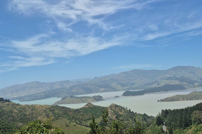Half Day Christchurch Scenic Tour with Local Guide - Who Would Love This Tour?
