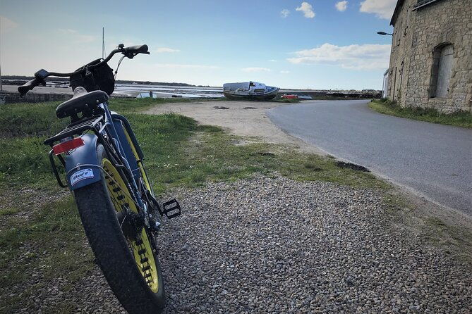 half-day-circuit-in-electric-fatbike-guided-by-gps
