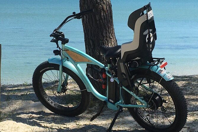 half-day-circuit-in-electric-fatbike-guided-by-gps