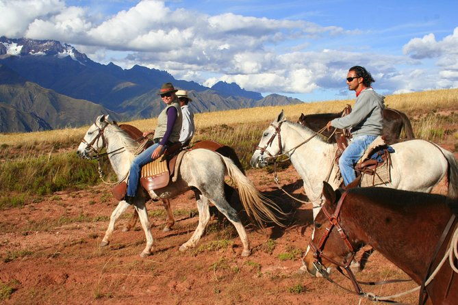 half-day-city-horse-riding-mistic-tour-group-service