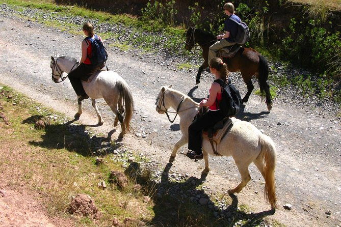 half-day-city-horse-riding-mistic-tour-group-service