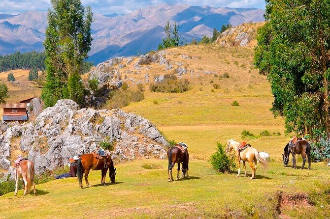 half-day-city-horse-riding-mistic-tour-group-service