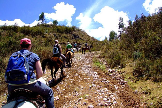 half-day-city-horse-traditional-riding-tour-group-service