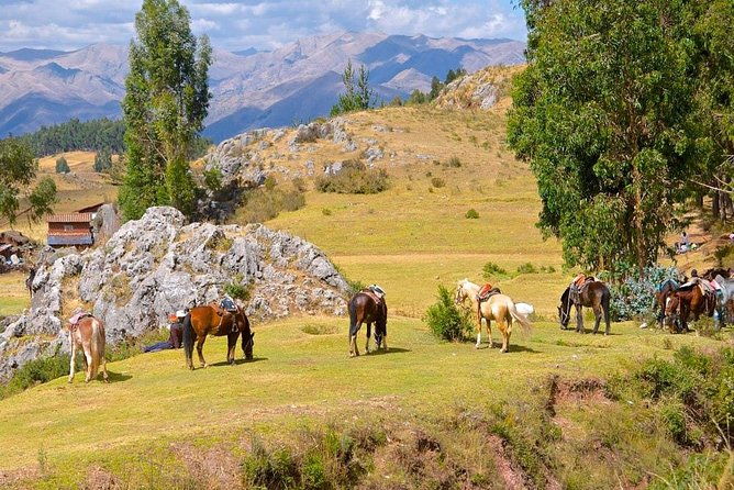 half-day-city-horse-traditional-riding-tour-group-service