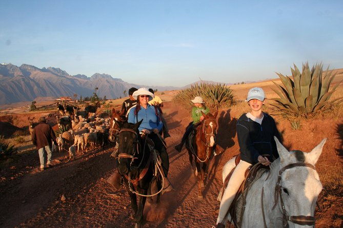 half-day-city-horse-traditional-riding-tour-group-service