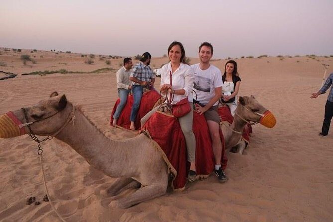 Half Day City Tour of Jaisalmer visit Sunset by Camel Ride with Dinner - A Detailed Look at the Half Day City Tour of Jaisalmer with Sunset Camel Ride and Dinner