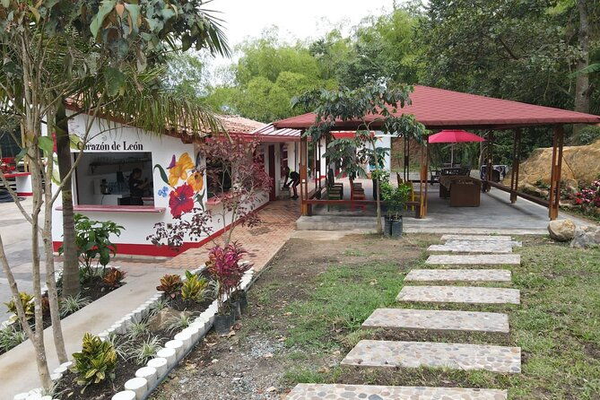 half-day-coffee-tour-at-a-coffee-farm-in-medellin