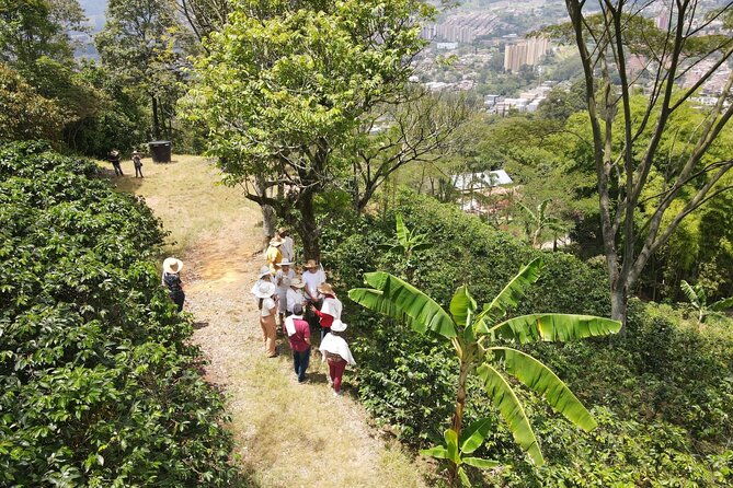 half-day-coffee-tour-at-a-coffee-farm-in-medellin