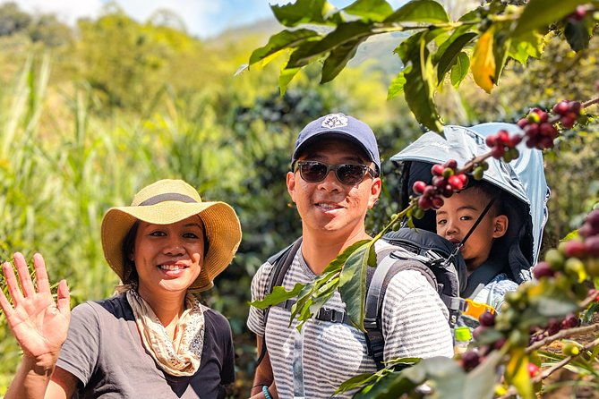 half-day-coffee-tour-in-medellin-from-the-seed-to-the-cup