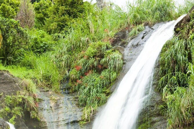 half-day-concord-waterfall-and-chocolate-factory-tour