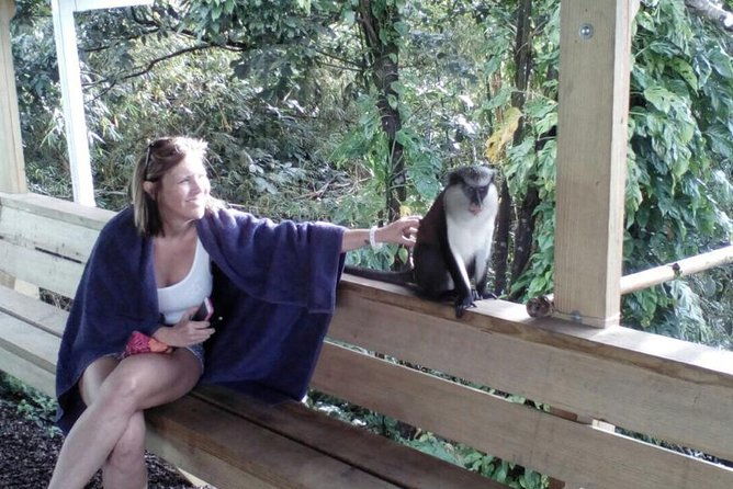 half-day-concord-waterfall-and-chocolate-factory-tour