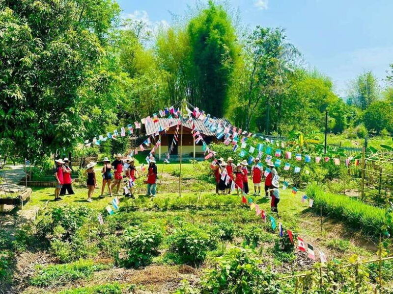 half-day-cooking-class-at-organic-farm-city-gardenmarket