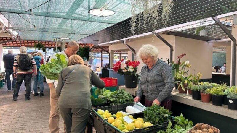 half-day-country-market-tour-on-madeira-island