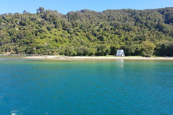 Half-Day Cruise in Marlborough Sounds from Picton - The Value Proposition