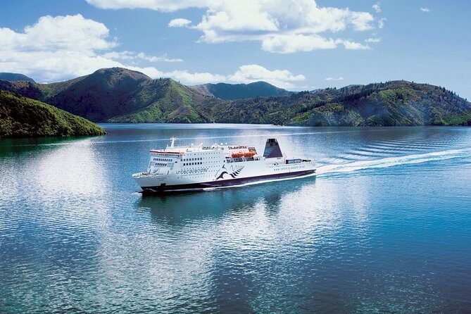 Half-Day Cruise in Marlborough Sounds from Picton - FAQ