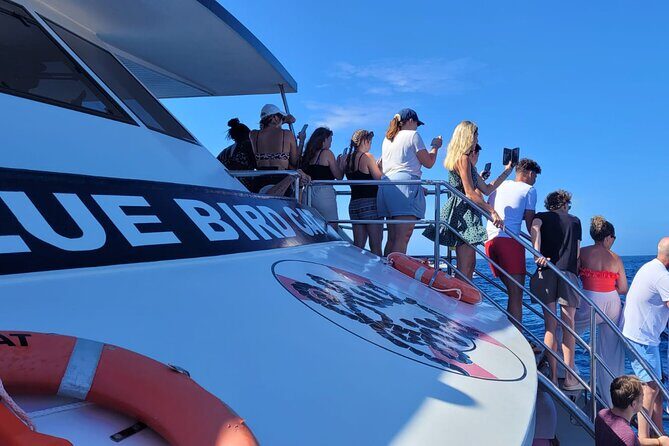 Half-Day Cruise Tour-Dolphin and Whale Watching - Starting Point: Puerto Rico and the Coastal Gateway