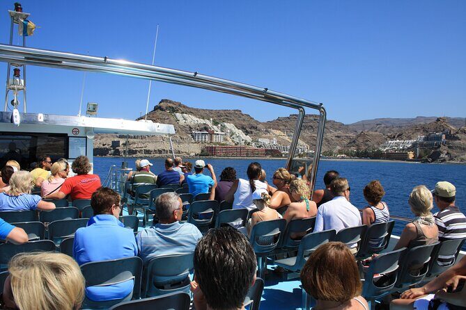 Half-Day Cruise Tour-Dolphin and Whale Watching - The Scenic Journey Back to Coast
