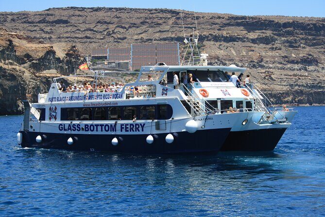 Half-Day Cruise Tour-Dolphin and Whale Watching - The Authenticity and Experience Quality