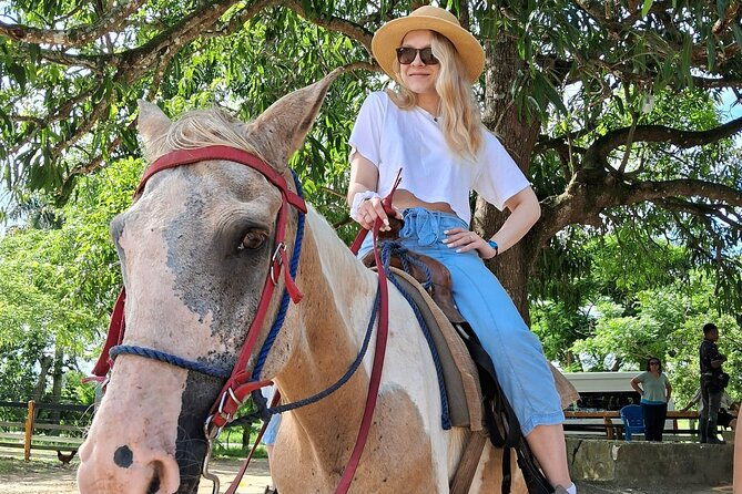 half-day-cultural-tour-in-the-city-of-higuey