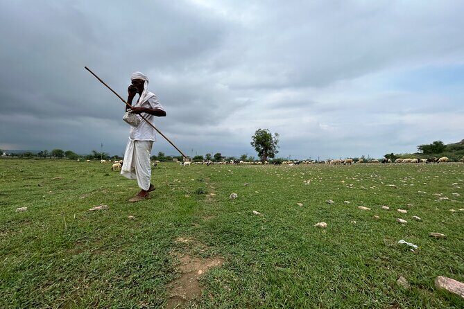 Half-Day Cultural Village Jeep Safari in Jaipur - Starting Point: Pickup and Initial Drive