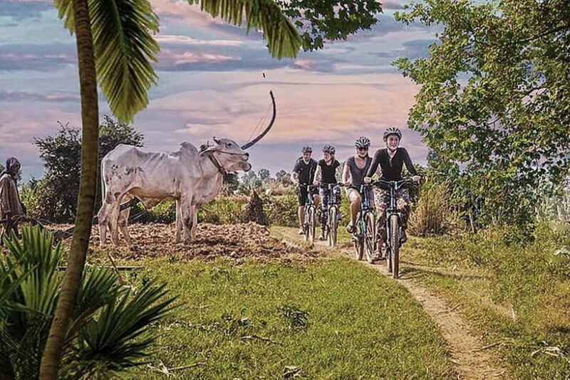 Half-Day Cycling to Discover Battambang's Rural Livelihoods - Exploring the Itinerary in Detail