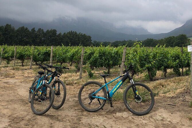 Half Day Cycling Wine Tour - Key Points