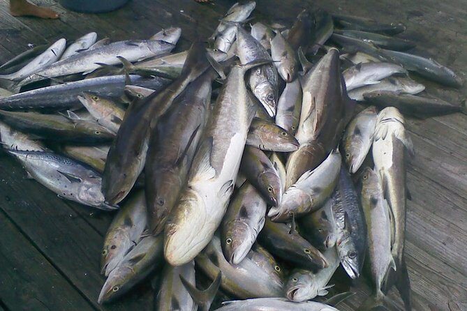 Half-Day Deep-Sea Fishing at Riviera Beach - Group size and atmosphere