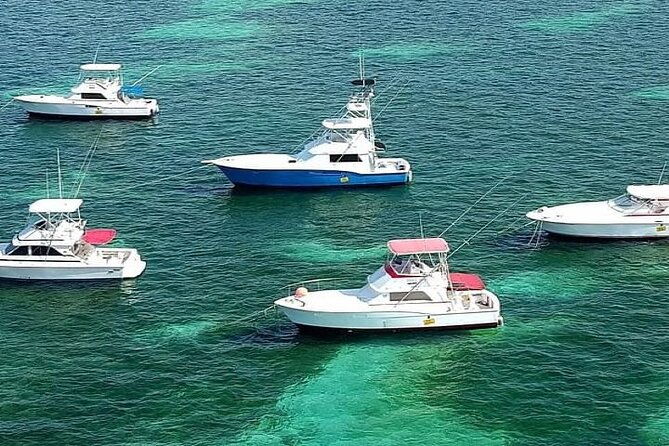 half-day-deep-sea-fishing-tour-from-punta-cana
