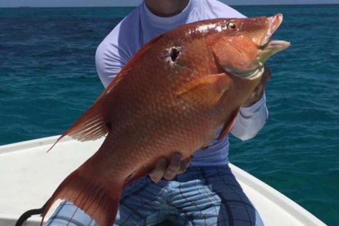 half-day-deep-sea-light-tackle-fishing-charters