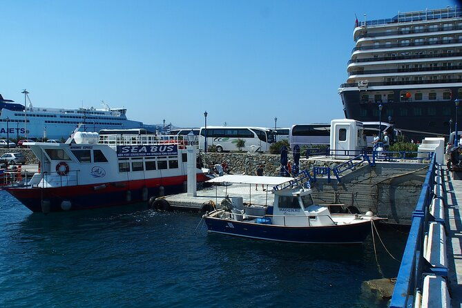 half-day-delos-tour-of-mykonos-from-the-cruise-ship-port