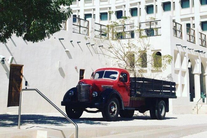 Half Day Desert Safari - The Sum Up