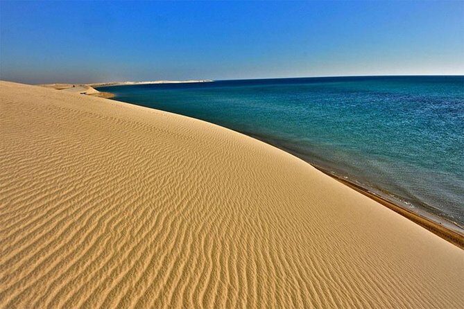 Half Day Desert Safari || Sand Boarding || Camel Ride || Inland Sea Visit || - Authentic Experiences Based on Reviews