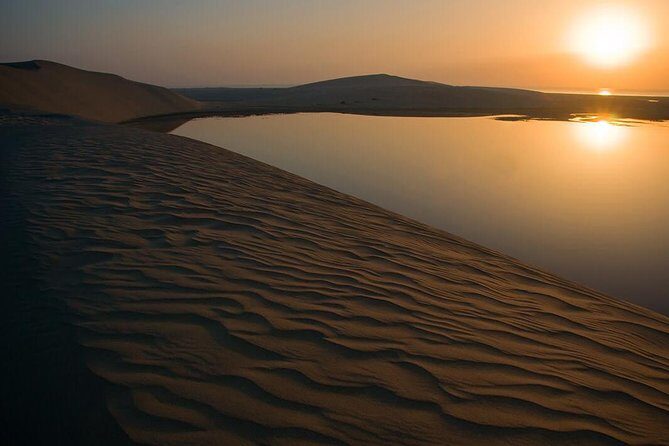 Half Day Desert Safari || Sand Boarding || Camel Ride || Inland Sea Visit || - Who Will Love This Tour?