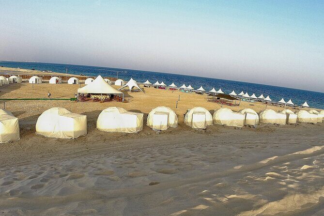 Half Day Desert Tour with Camel Ride - Key Points