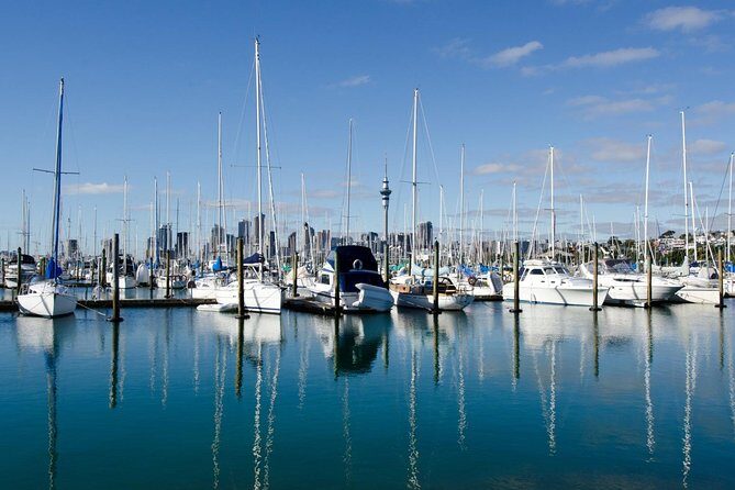 Half-day Discover Auckland City Sightseeing Tour - The Sum Up