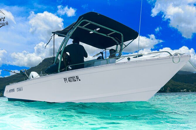 Half-Day Discovery of Moorea Lagoon by Private Boat. - Key Points