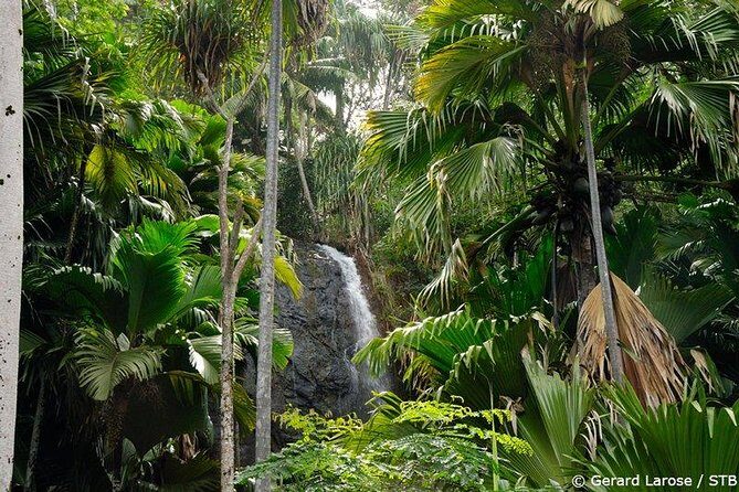 Half Day Discovery Tour of Vallee de Mai on Praslin Island - Exploring the Vallee de Mai on Praslin Island: An Honest Review