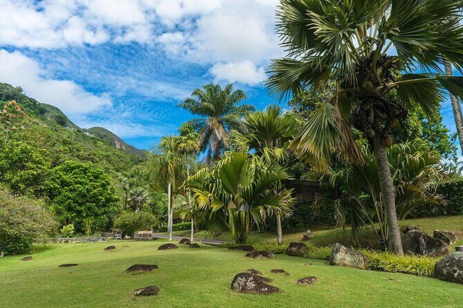 Half Day Discovery Tour of Victoria - Seychelles Capital on Mahe Island - The Sum Up: Who Is This Tour Perfect For?