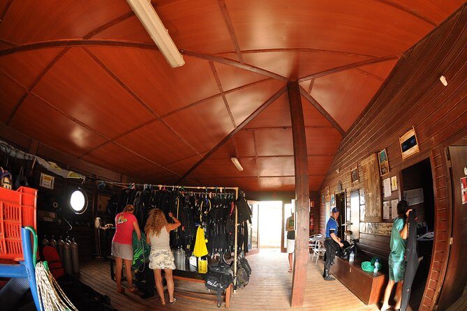 Half-Day Diving in Sal - Why You’ll Love This Half-Day Diving Tour in Sal