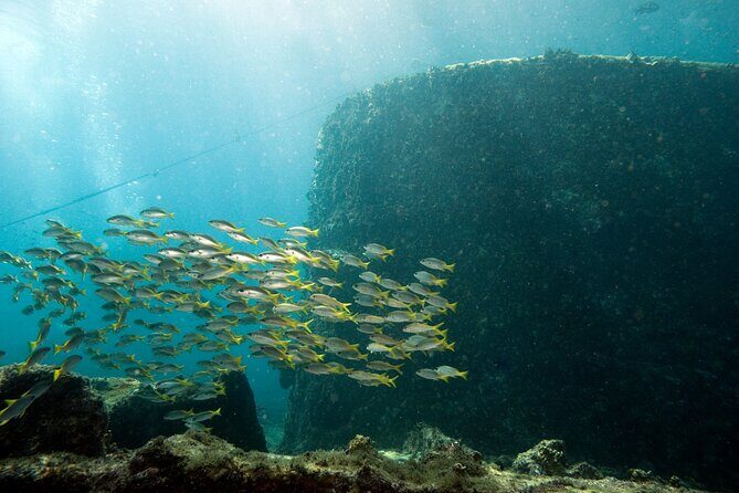 Half-Day Diving in Sal - Final Thoughts