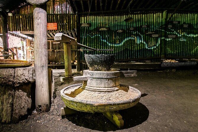 Half day Doi Suthep Temple & Mae Ping River cruise (Private) - Transportation and Comfort