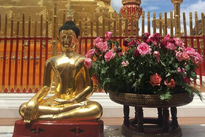 Half Day Doi Suthep Temple With City Temples From Chiang Mai - Who Should Consider This Tour