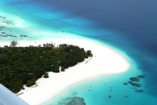 Half-Day Dolphin & Snorkeling Tour in Mnemba Island Zanzibar - An Honest Look at the Half-Day Dolphin & Snorkeling Tour in Mnemba Island, Zanzibar