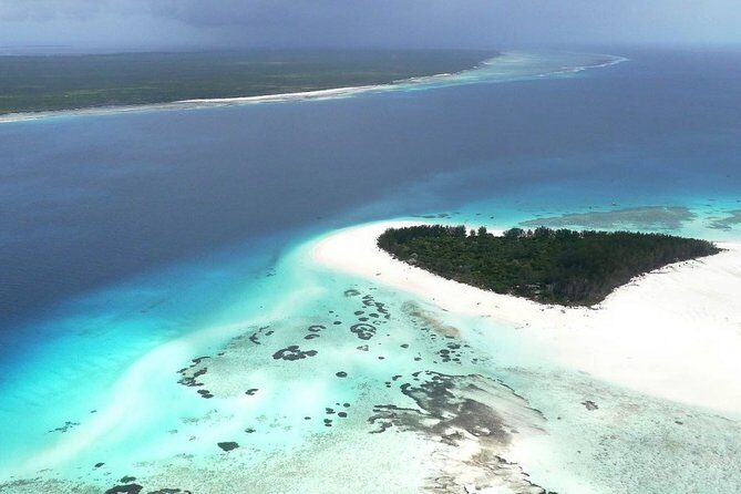 Half-Day Dolphin & Snorkeling Tour in Mnemba Island Zanzibar - Key Points