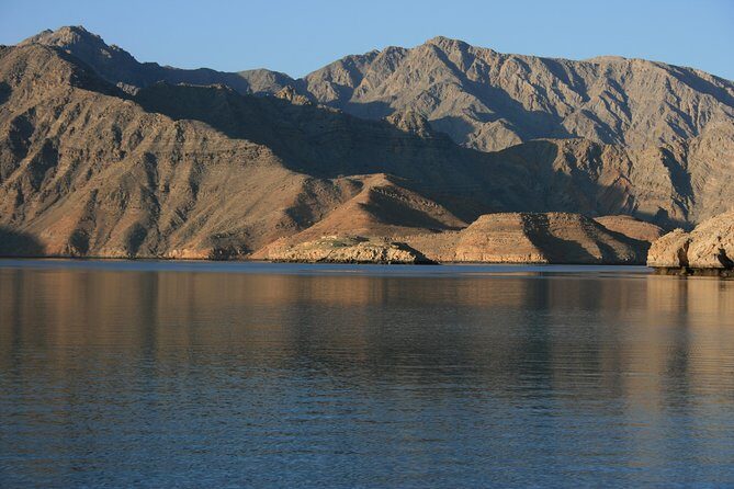 Half Day Dolphin Watching Musandam Dhow Cruise - The Experience at a Glance: What to Expect