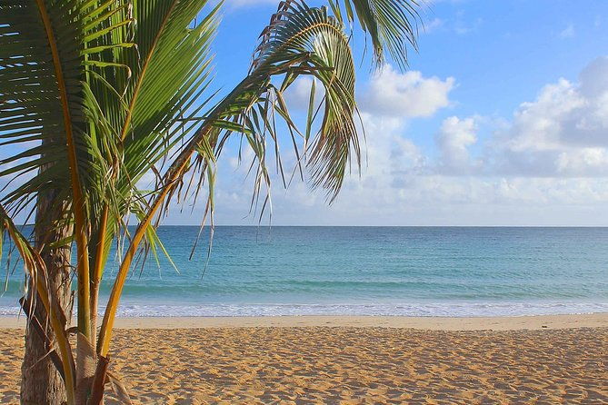 half-day-dominican-republic-safari-tour-from-punta-cana