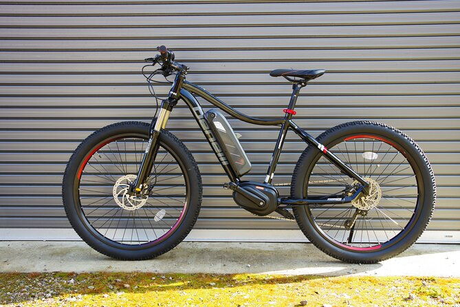 half-day-e-bike-adventure-tour-in-nagano