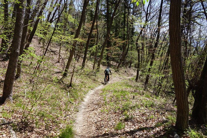 half-day-e-bike-adventure-tour-in-nagano