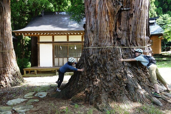 half-day-e-bike-adventure-tour-in-nagano